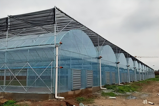 Multi Span Intelligent Film Greenhouse detail 2
